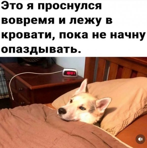 Pozhalovat-v-mir-svezhih-memov-i-smeshnyh-kommentariev-000
