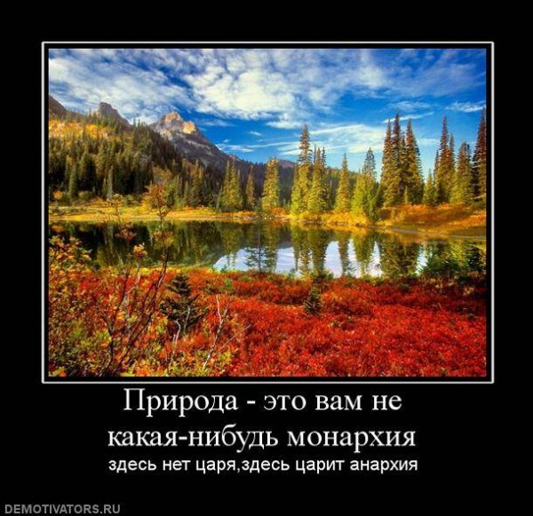 Demotivator (29)