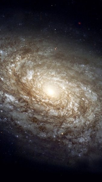 cosmos 0039