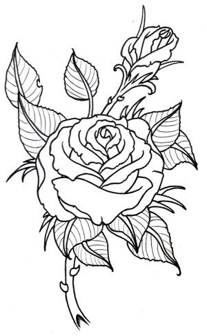 Rose Outline by vikingtattoo