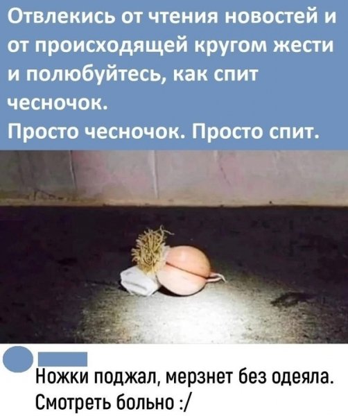 picture_419348249