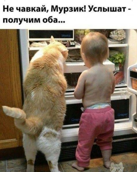 IMG 20200414 154414