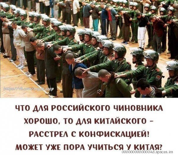 p.800.800.0-