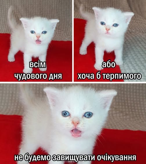 08-19