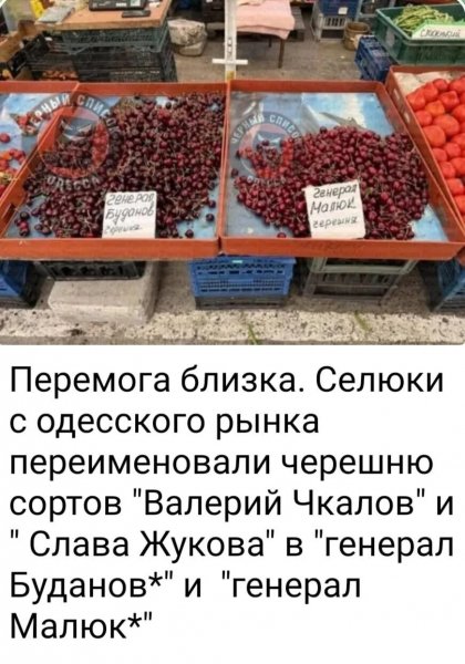 IMG 20250617 095657