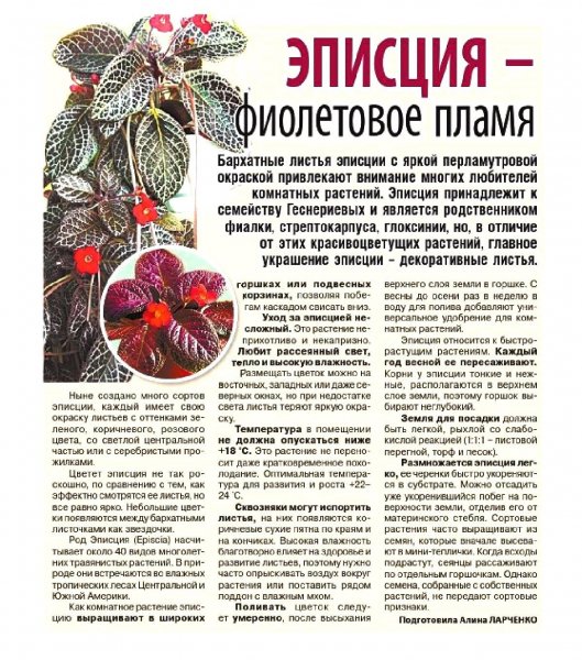 Эписция