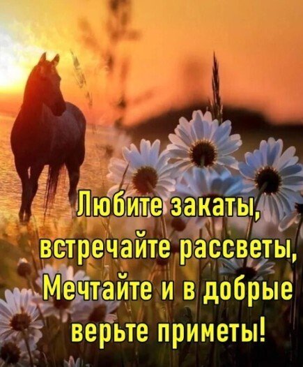 IMG 20250717 201513