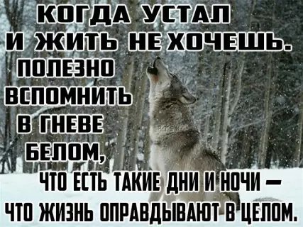 picture_211658892