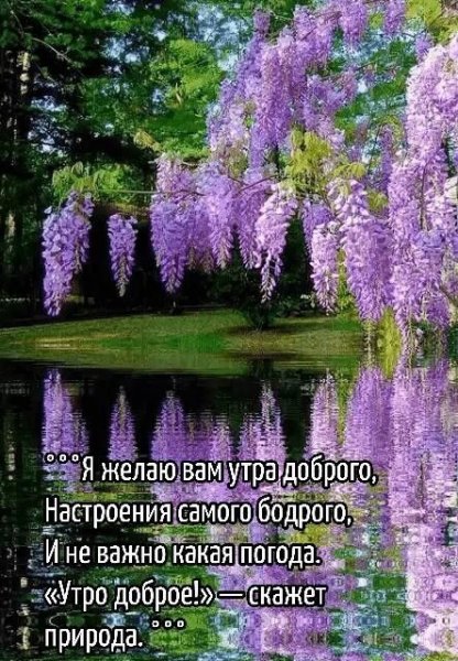 bbd2406cd81206fac2621