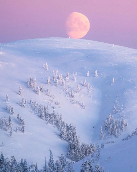 PHaDcvyultg