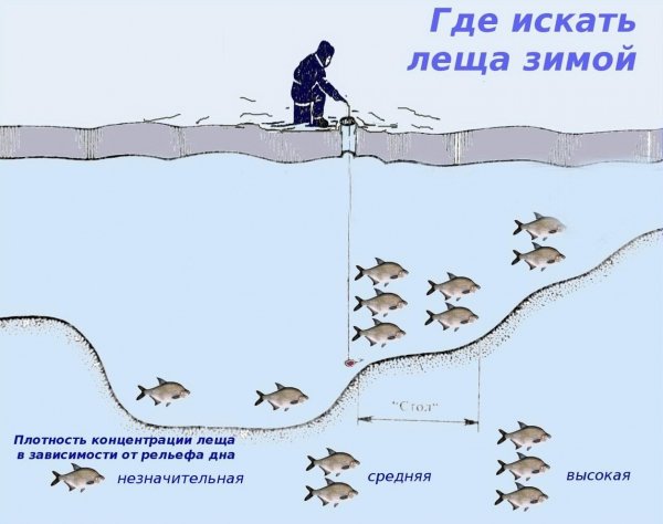 Где искать леща зимой