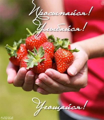 Просыпайся улыбайся