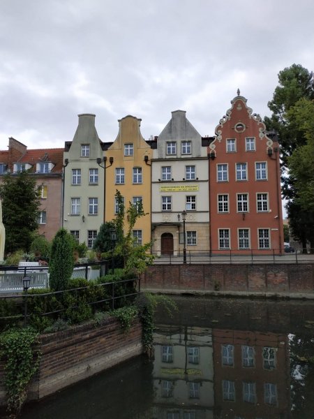 IMG-20190716-WA0005