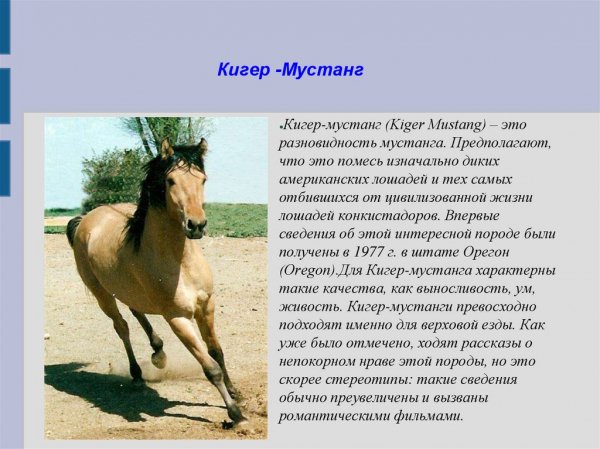 Кригер - Мустанг