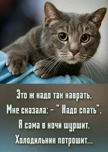 Опаньки!