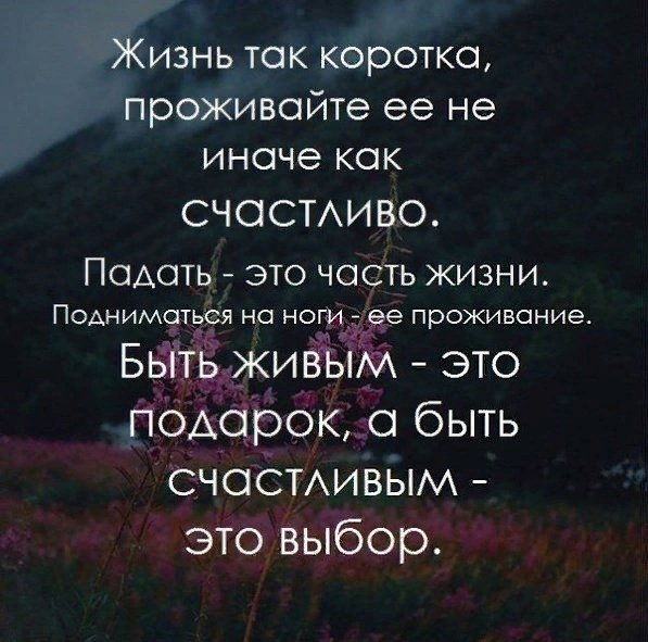 Жизнь...