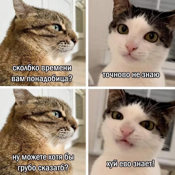 IMG 20260808 144524 608