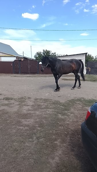picture_419013305