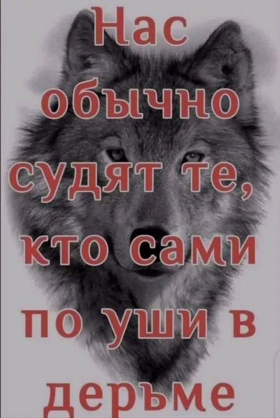 FB IMG 17003006079652976