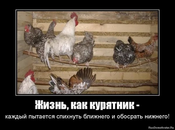 Жизнь...