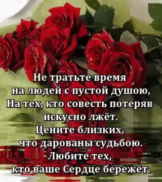 picture_211576845