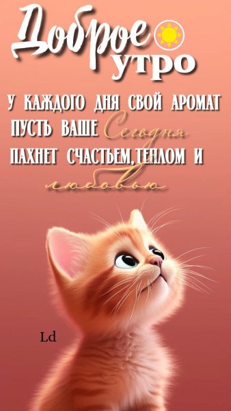 D1d7014423ad0e198d3d8688aca8b91f