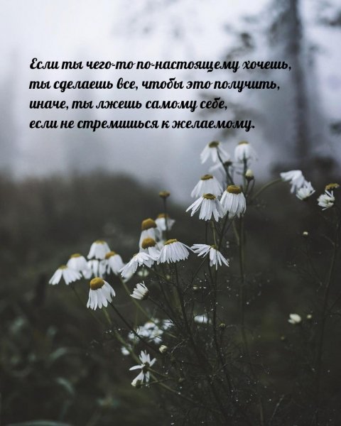 images 14381