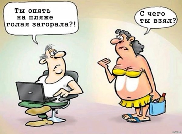 Siski-ruliat-kartinka-prikolnaia-1