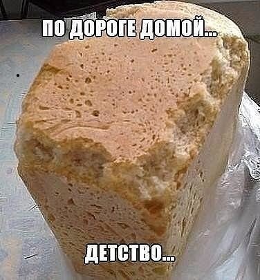 IMG 20260813 123846