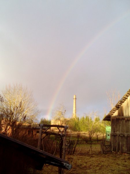 picture_110513078