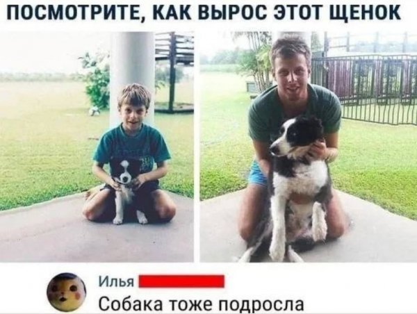 p.600.600.0