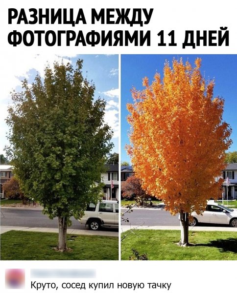 WXCnyupns5I