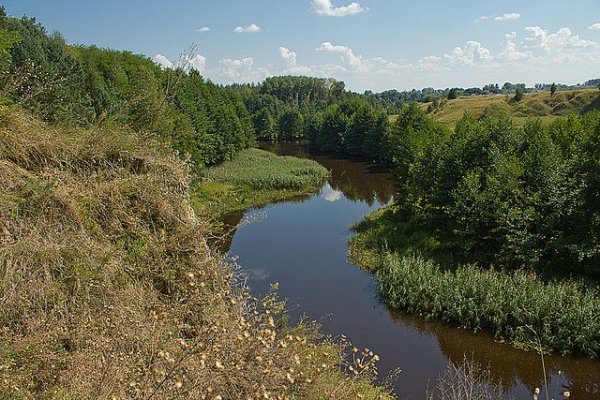 Фото Лесника