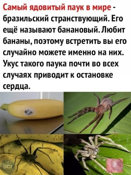 Это интересно