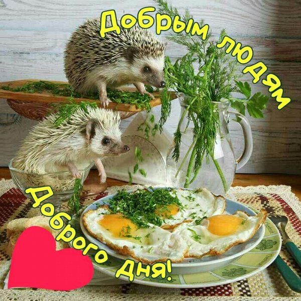 3bdd882adfa6e0b865948cc6a00fb493