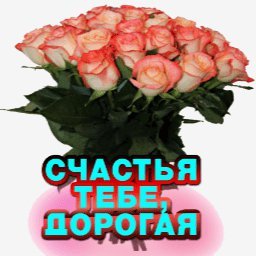 розы