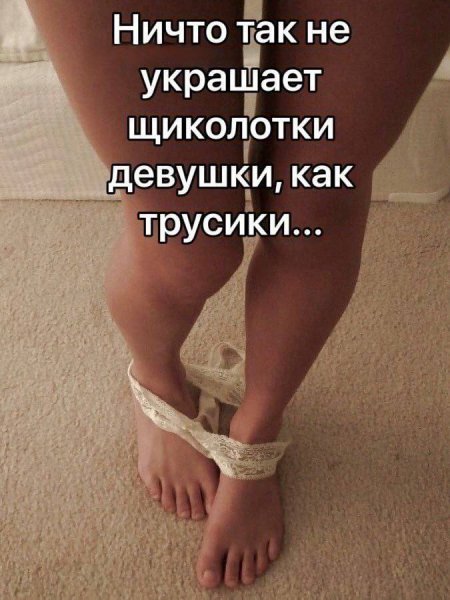 picture_405812090