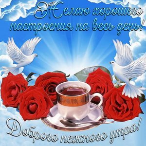 IMG 20190127 080841
