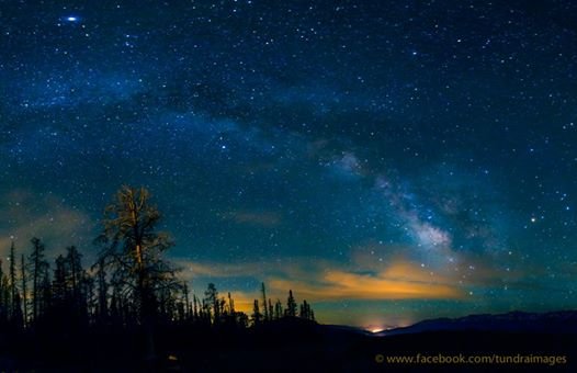 stars