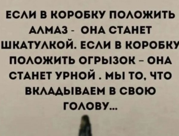 IMG 20221011 184646