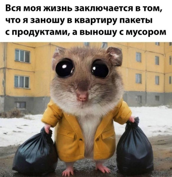 Pozhalovat-v-mir-svezhih-memov-i-smeshnyh-kommentariev-11