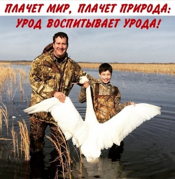 В точку