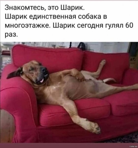 ))