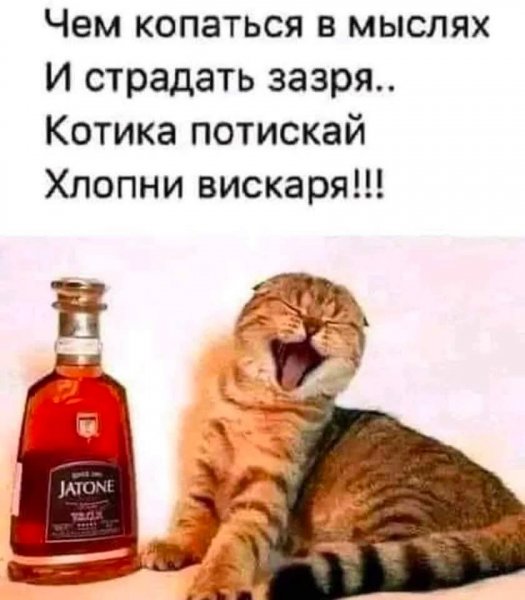 MG 1765201513017