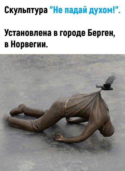 Выше носом