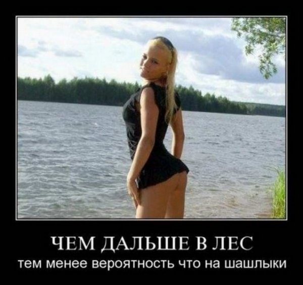 Чем дальше в лес