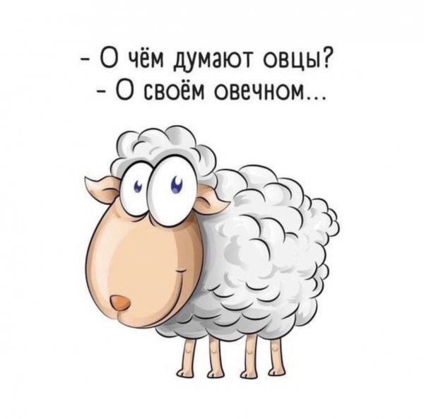 Овечном