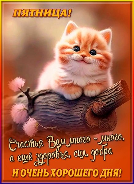 Доброе утро!