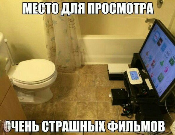 picture_373577975