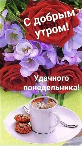 IMG 20220221 121506